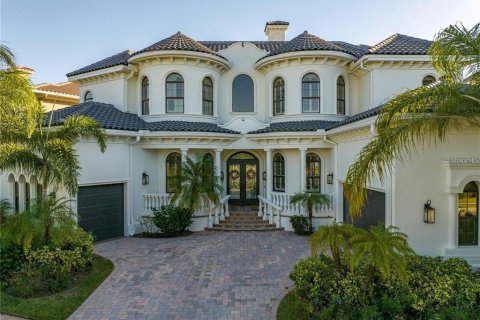 House in Tampa, Florida 4 bedrooms, 332.13 sq.m. № 2277478