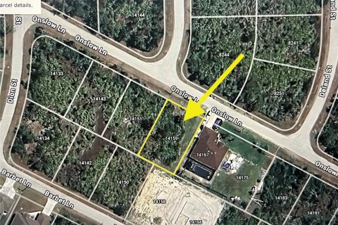 Land in Port Charlotte, Florida № 2161851 - photo 4