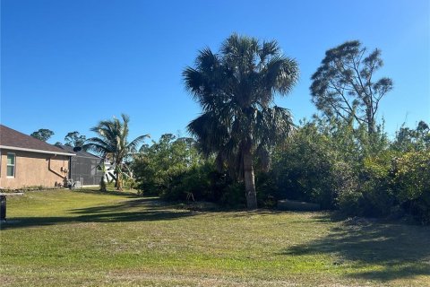 Land in Port Charlotte, Florida № 2161851 - photo 3