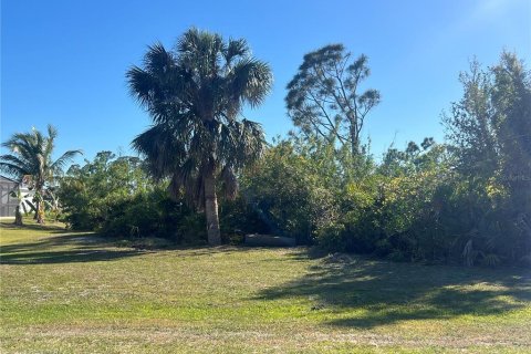 Land in Port Charlotte, Florida № 2161851
