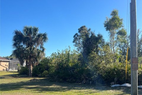Land in Port Charlotte, Florida № 2161851 - photo 2