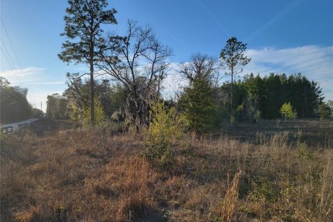 Terrain à vendre à Williston, Floride № 2198487 - photo 8