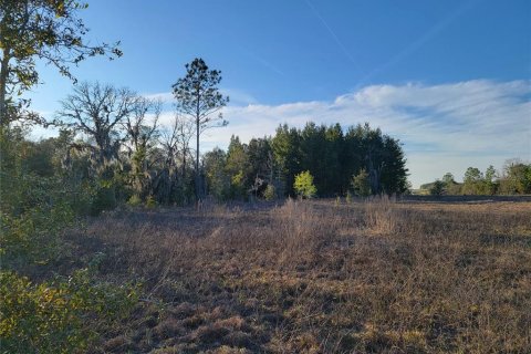 Terrain à vendre à Williston, Floride № 2198487 - photo 14