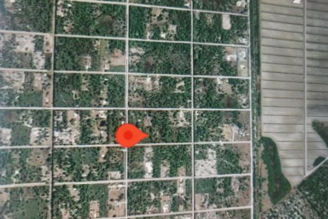 Land in Clewiston, Florida № 1208714 - photo 1