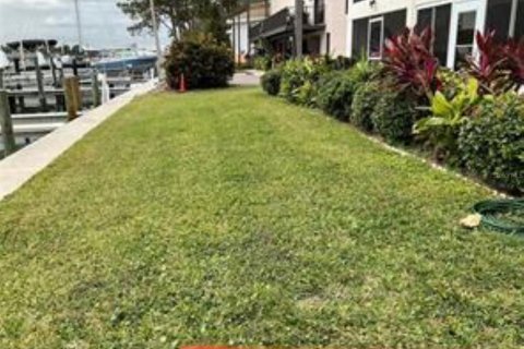 Condo in Clearwater, Florida, 2 bedrooms № 2277324 - photo 20