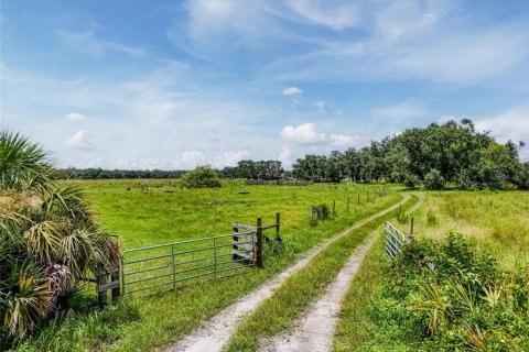 Land in Myakka City, Florida № 1857767 - photo 13