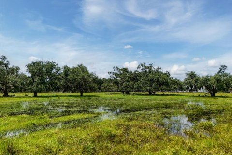 Land in Myakka City, Florida № 1857767 - photo 26