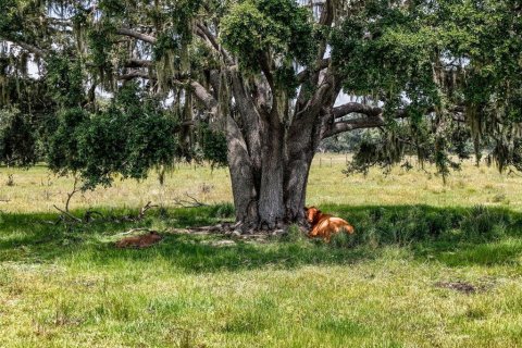Land in Myakka City, Florida № 1857767 - photo 22