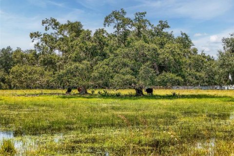 Land in Myakka City, Florida № 1857767 - photo 29