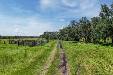 Land in Myakka City, Florida № 1857767 - photo 15