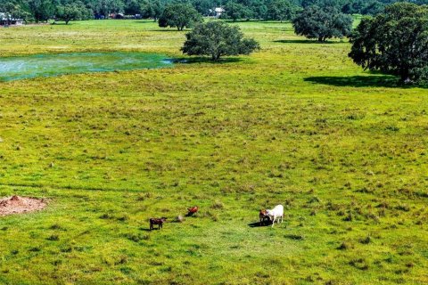 Land in Myakka City, Florida № 1857767 - photo 12