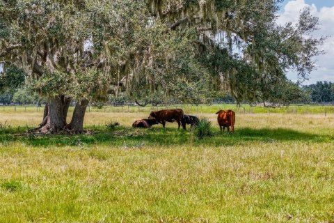 Land in Myakka City, Florida № 1857767 - photo 25