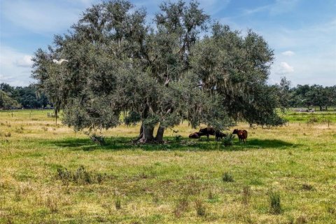 Land in Myakka City, Florida № 1857767 - photo 24