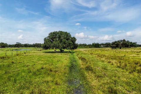 Land in Myakka City, Florida № 1857767 - photo 30