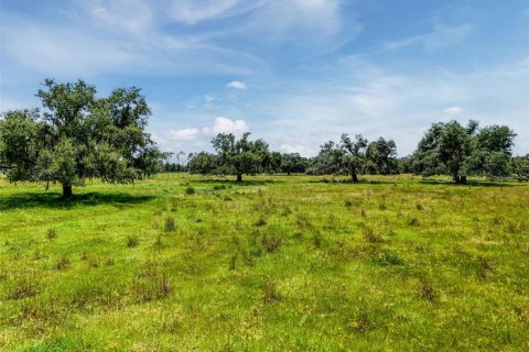 Land in Myakka City, Florida № 1857767 - photo 20