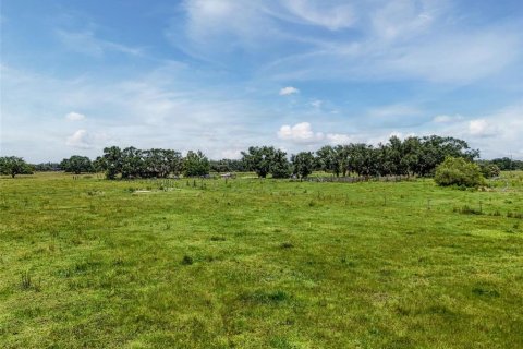 Land in Myakka City, Florida № 1857767 - photo 17