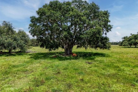 Land in Myakka City, Florida № 1857767 - photo 23