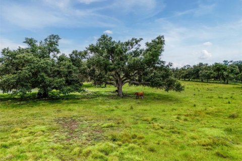Land in Myakka City, Florida № 1857767 - photo 28