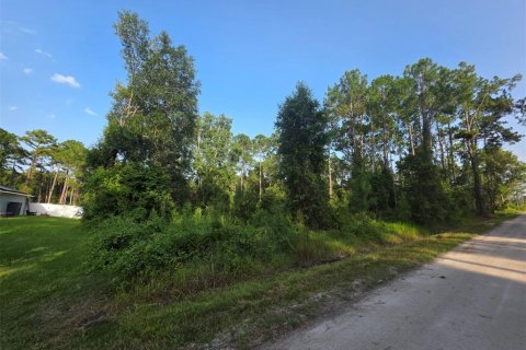Land in DeLand, Florida № 2161325 - photo 4
