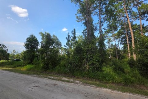 Land in DeLand, Florida № 2161325 - photo 6