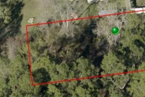 Land in DeLand, Florida № 2161325 - photo 3