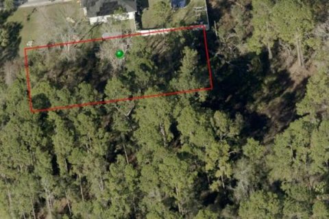 Land in DeLand, Florida № 2161325 - photo 2
