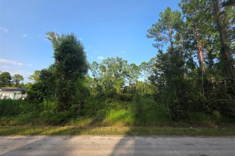 Land in DeLand, Florida № 2161325