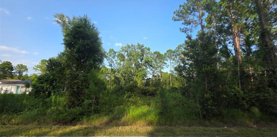Land in DeLand, Florida № 2161325