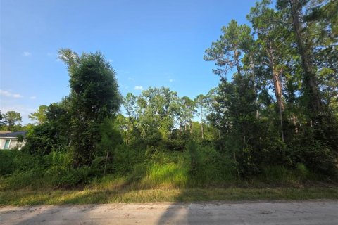 Land in DeLand, Florida № 2161325 - photo 5