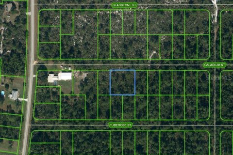 Land in Lake Placid, Florida № 2224133