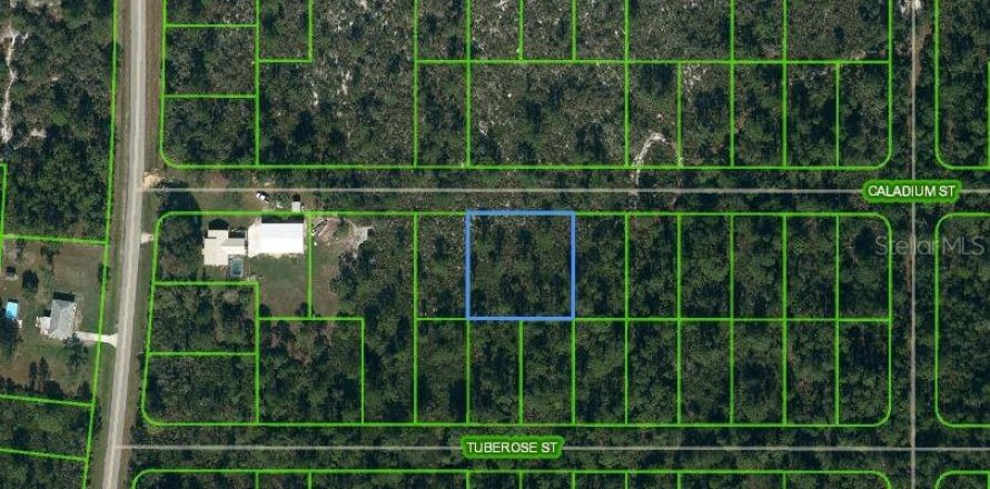 Terreno en Lake Placid, Florida № 2224133