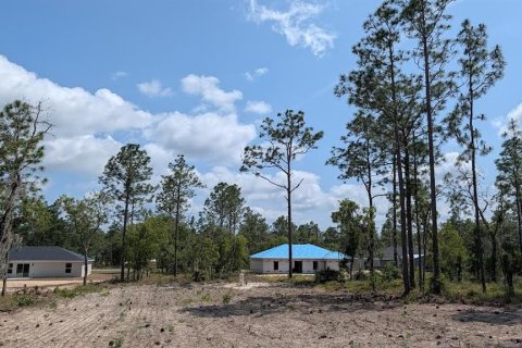 Terrain à vendre à Dunnellon, Floride № 2159686 - photo 4