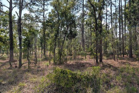 Terrain à vendre à Dunnellon, Floride № 2159686 - photo 8