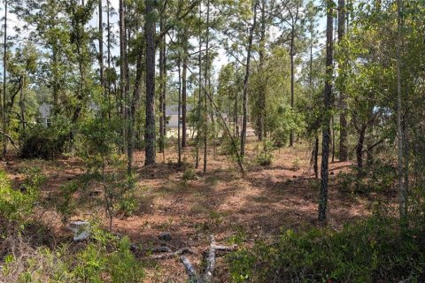 Terrain à vendre à Dunnellon, Floride № 2159686 - photo 5