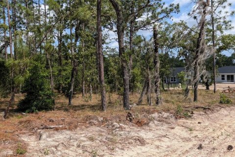 Terrain à vendre à Dunnellon, Floride № 2159686 - photo 2