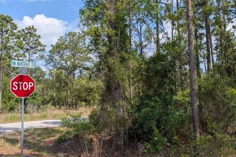 Terrain à vendre à Dunnellon, Floride № 2159686 - photo 6