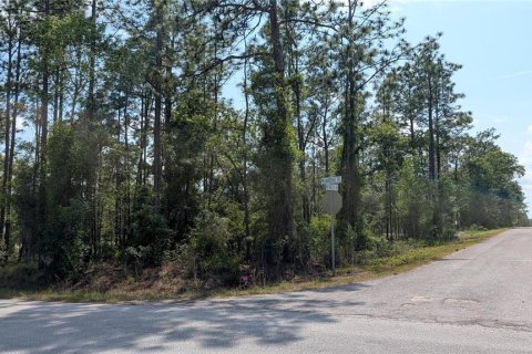 Terrain à vendre à Dunnellon, Floride № 2159686 - photo 3