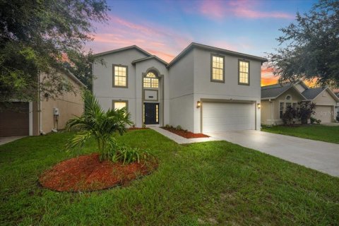 House in Land O' Lakes, Florida 5 bedrooms, 259.75 sq.m. № 2359266