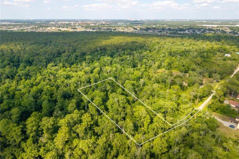 Land in Kissimmee, Florida № 2101110 - photo 20