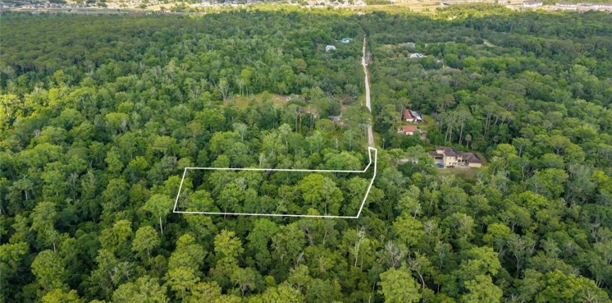 Land in Kissimmee, Florida № 2101110
