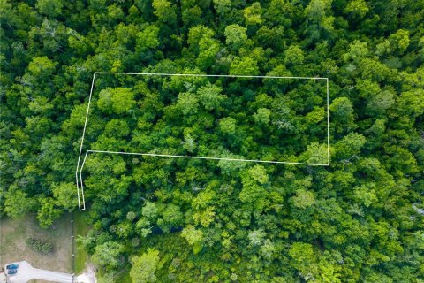 Land in Kissimmee, Florida № 2101110 - photo 21