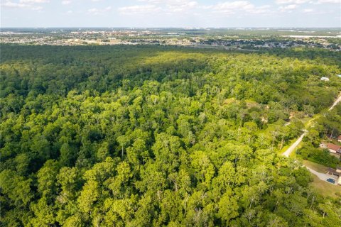 Land in Kissimmee, Florida № 2101110 - photo 25