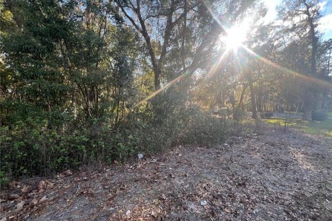 Land in Ocala, Florida № 1507996 - photo 3