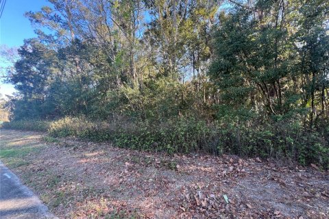 Land in Ocala, Florida № 1507996 - photo 2
