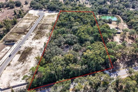 Terreno en venta en Apopka, Florida № 1535956 - foto 8