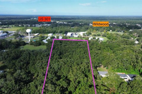 Land in Wildwood, Florida № 2166687 - photo 8