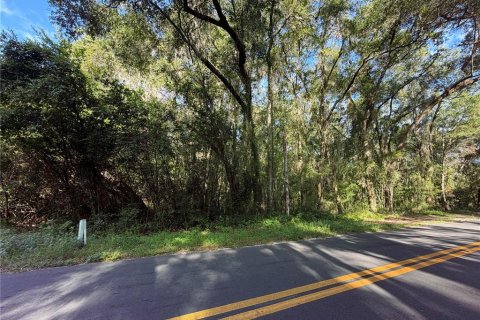 Land in Wildwood, Florida № 2166687 - photo 2