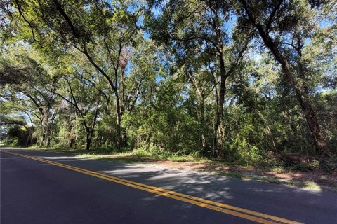 Land in Wildwood, Florida № 2166687