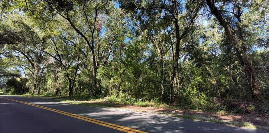 Land in Wildwood, Florida № 2166687