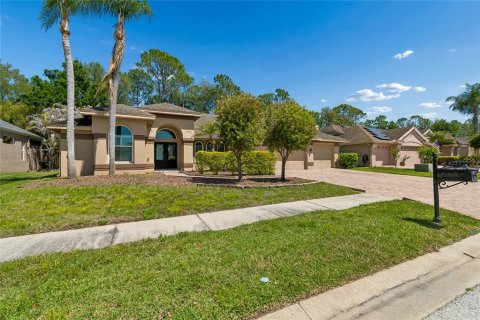 Villa ou maison à Palm Harbor, Floride 4 chambres, 208.47 m2 № 2147908